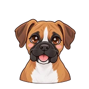 Lucy, a Boxer